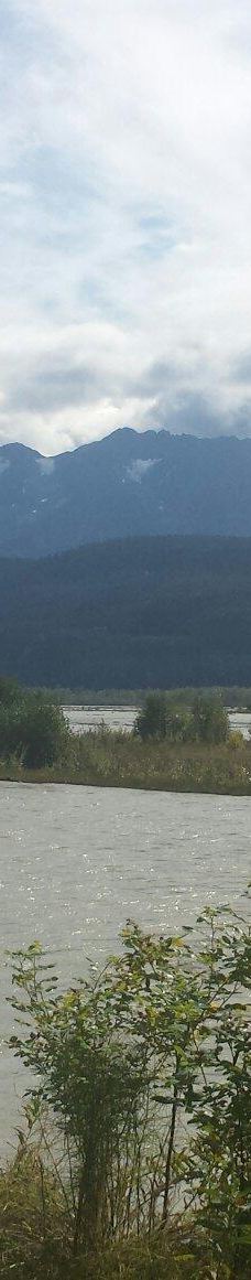 奇尔卡特河-海恩斯自治市镇