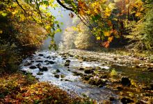 Gorges de l'Areuse景点图片