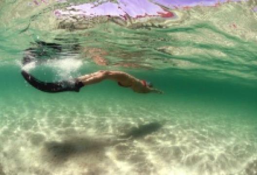 Freedivers - Freediving Courses购物图片