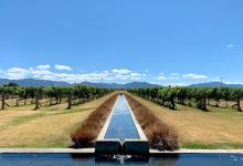 Villa Maria Estate Marlborough Winery景点图片