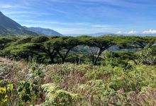 Mbeya Peak景点图片
