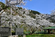 庄川水記念公園景点图片