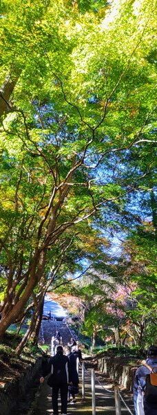 Fumon-ji Temple-丰桥市