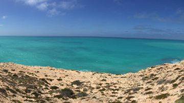 Nullarbor National Park