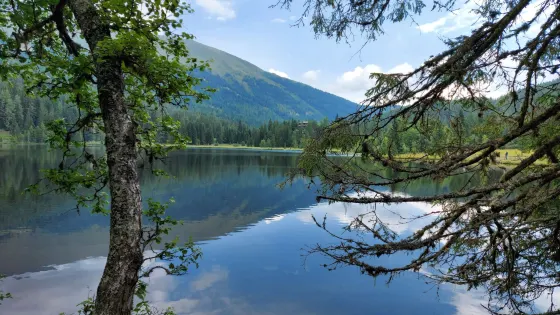 Prebersee