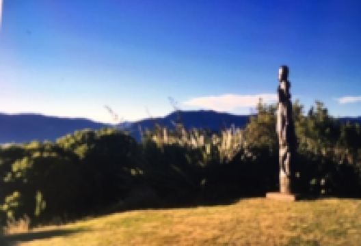 Karaka Point Walk景点图片