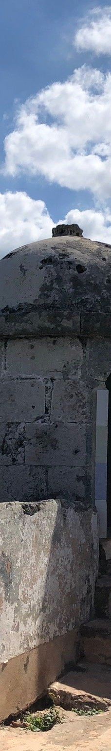 Torreon de la Chorrera-Tom Groggin