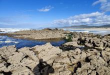 Praia da Arda景点图片