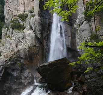 Piscia di Gallu