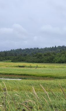 Deep Creek State Recreation Area-欢乐谷