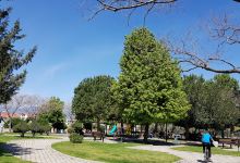 Gazi Ali Tellal Parkı景点图片