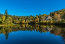 Klosterweiher (Dachsberg)景点图片