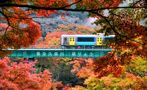 Yamatsuriyama Park