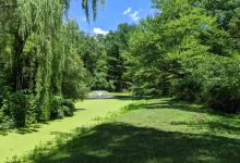 Whittemore - Community, Culture & Conservation景点图片