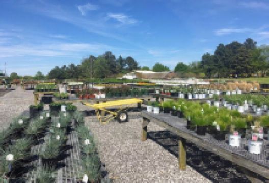 Baddour Garden Center购物图片