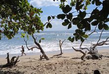 Camping Avellanas景点图片