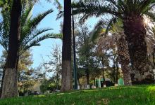 Lomas del Valle. Garden景点图片