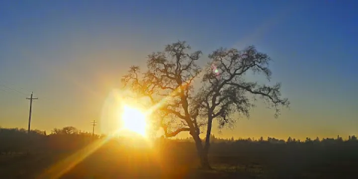 拉古納·德·聖羅莎