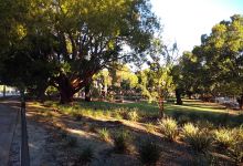 Mount Hawthorn Community Centre Naturescape景点图片