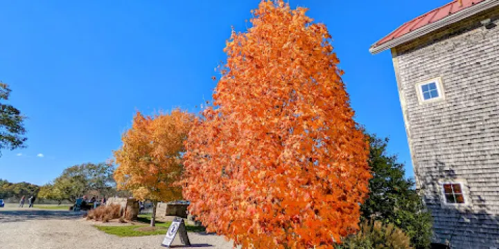 Buzzards Bay Brewing