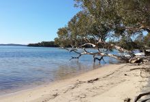 Tanilba Bay Boardwalk景点图片