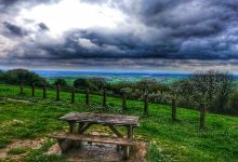 Tog Hill Picnic Area景点图片