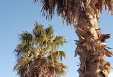 Pueblo Nuevo Camping La Balandra景点图片