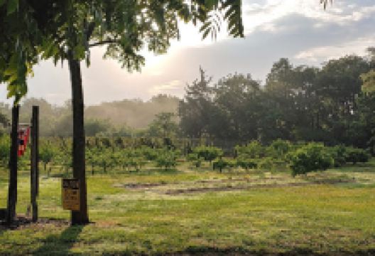 Stiles Farm and Nursery景点图片