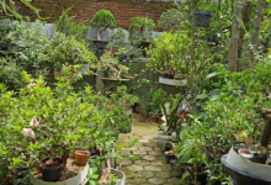 de Elua's Garden (Wawan Vespa)景点图片