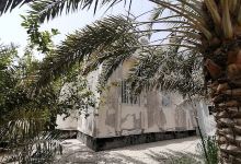 Shaikh Mansoor Mosque景点图片