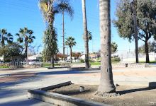 Eucalyptus Skatepark.景点图片