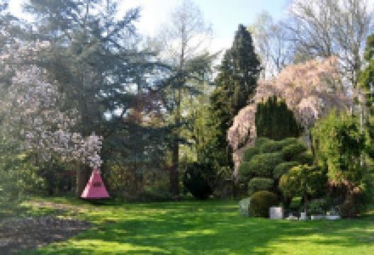 Plantasia - The Pink Shop购物图片