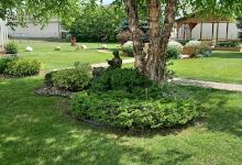 Lewiston Public Library景点图片