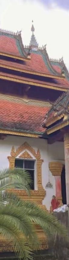 勐拉大佛寺-金平
