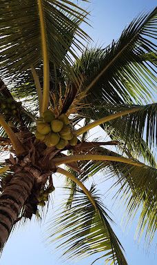 Playa Publica Bayahibe-圣拉斐尔－德尔尤马