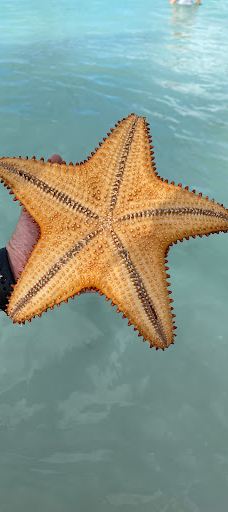 Playa Publica Bayahibe-圣拉斐尔－德尔尤马