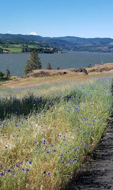 Catherine Creek Day Use Area/Trailhead-克利基塔特县