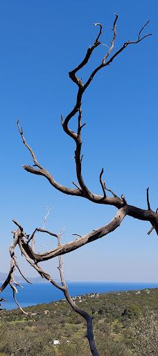 Poros Beach-Kiani Akti