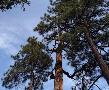 Sunset Point Trailhead