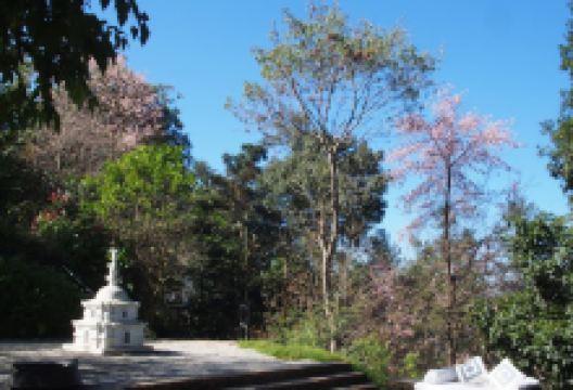 Bhattidanda Dhulikhel景点图片