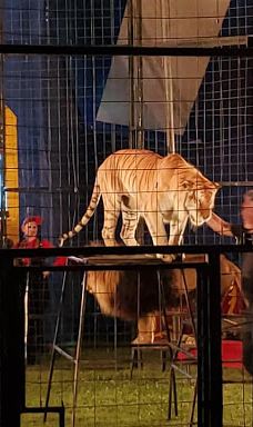 Van Buren County Fairgrounds-范比伦县