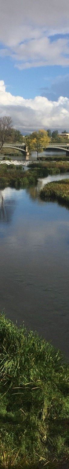 罗马古桥-萨拉曼卡