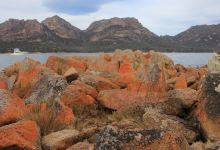 Coles Bay Jetty景点图片