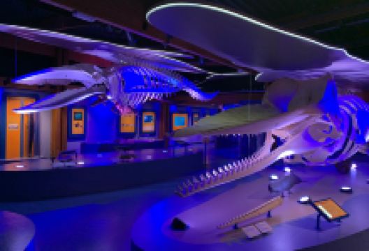 埃科马勒景点图片