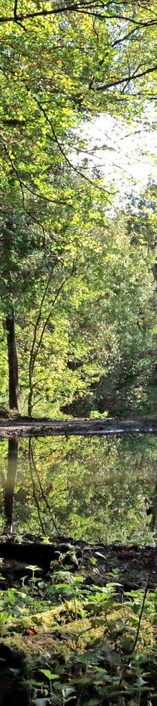 Geografisk Have-科灵