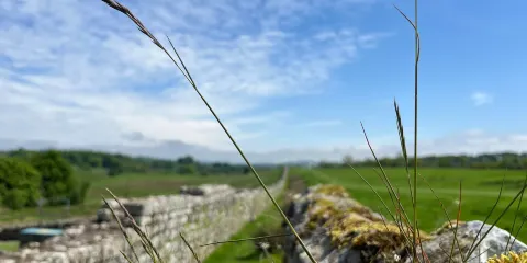 伯德羅斯瓦爾德羅馬堡壘