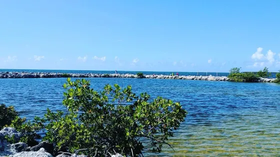 Harry Harris Park