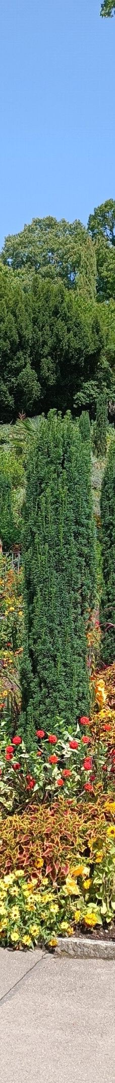 迈瑙岛-康斯坦茨