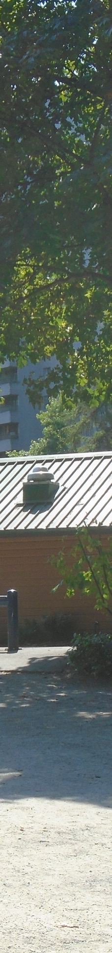 中央公园-本那比