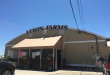 Lewin Farms景点图片